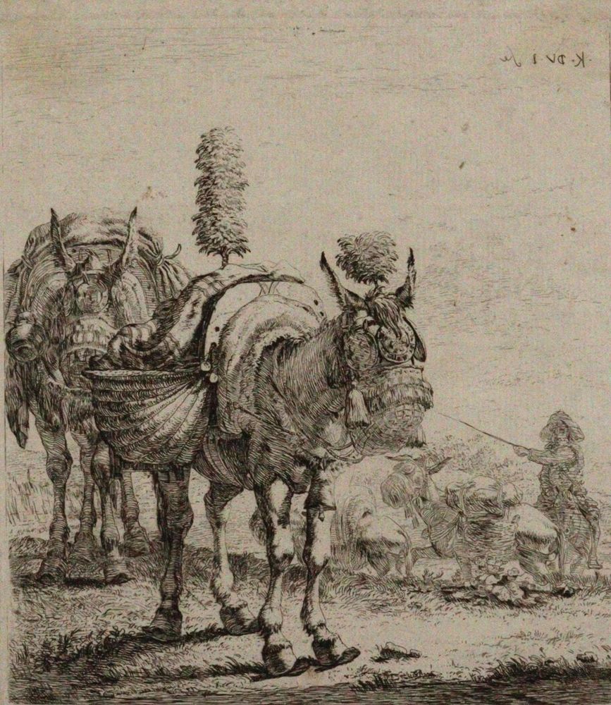 Große Abbildung Nr.1: 121-2509 Dujardin, Karel: (Künstlergraphik)