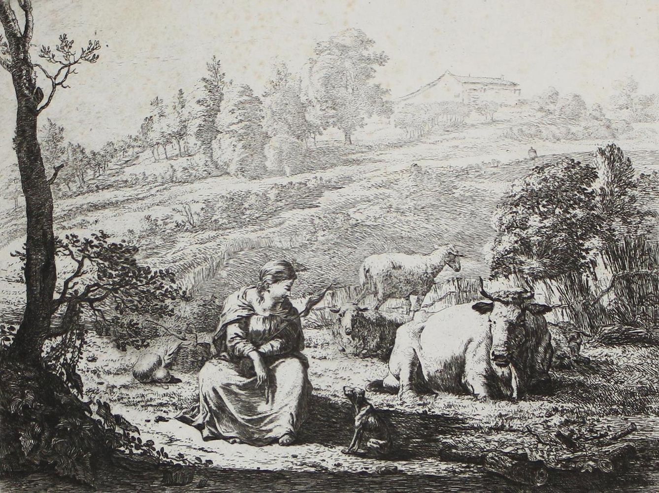 Große Abbildung Nr.2: 121-2510 Dujardin, Karel: (Künstlergraphik)