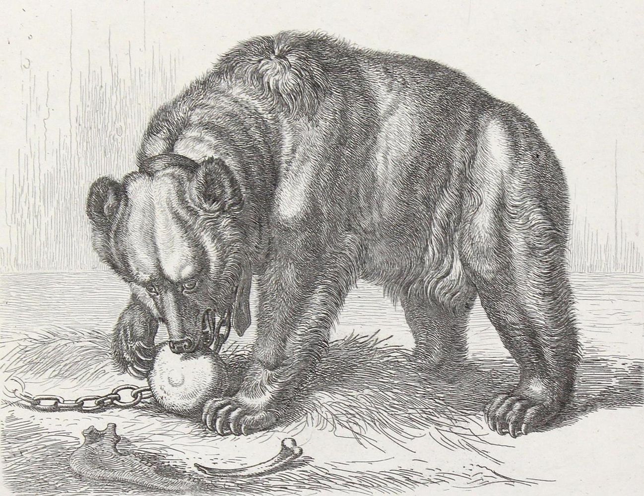 Große Abbildung Nr.2: 121-2836 Klein, Johann Adam: (Künstlergraphik)