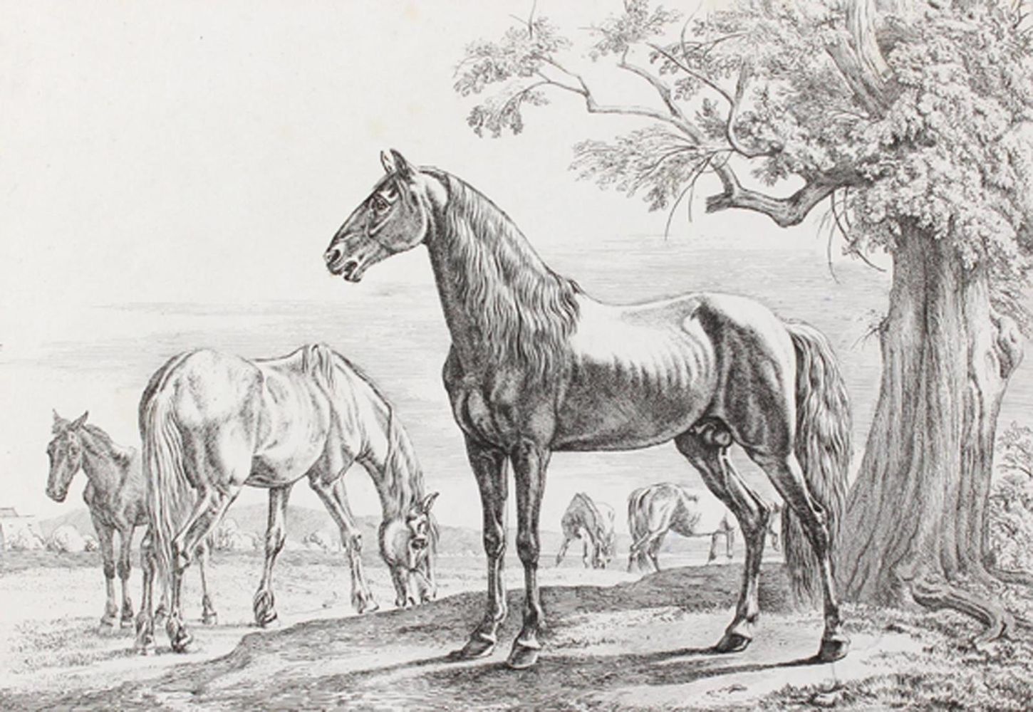 Große Abbildung Nr.1: 121-2838 Klein, Johann Adam: (Künstlergraphik)
