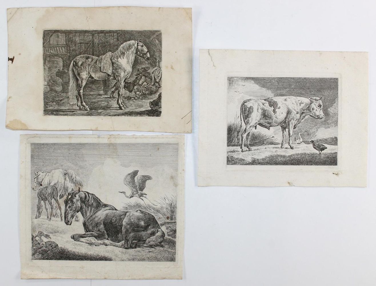 Große Abbildung Nr.2: 121-2849 Kolbe, Carl Wilhelm: (Künstlergraphik)
