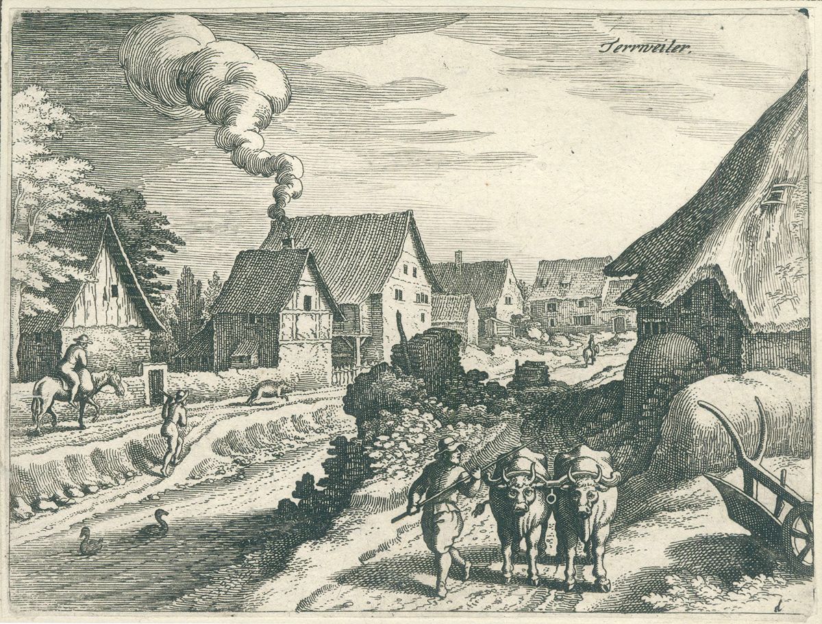 Große Abbildung Nr.1: 121-3011 Merian, Matthäus: (Künstlergraphik)