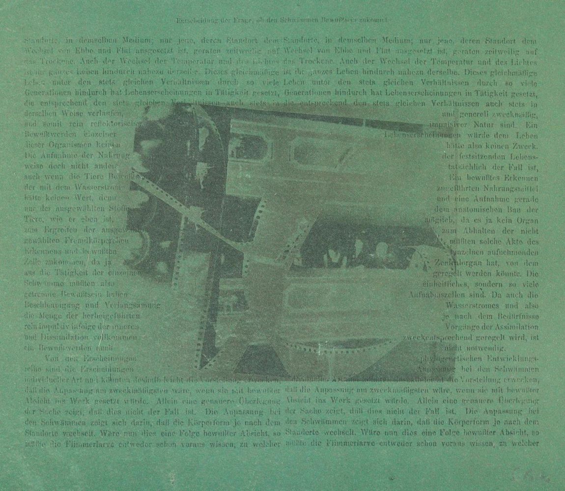 Große Abbildung Nr.1: 121-3132 Polke, Sigmar: (Künstlergraphik)