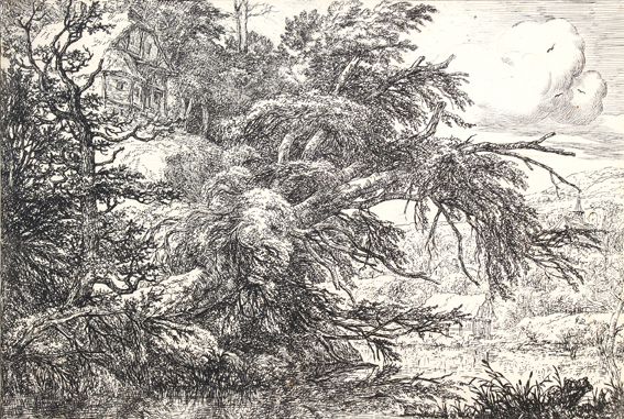 Große Abbildung Nr.0: 121-3191 Ruisdael, Jacob Isaakszoon van: (Künstlergraphik)