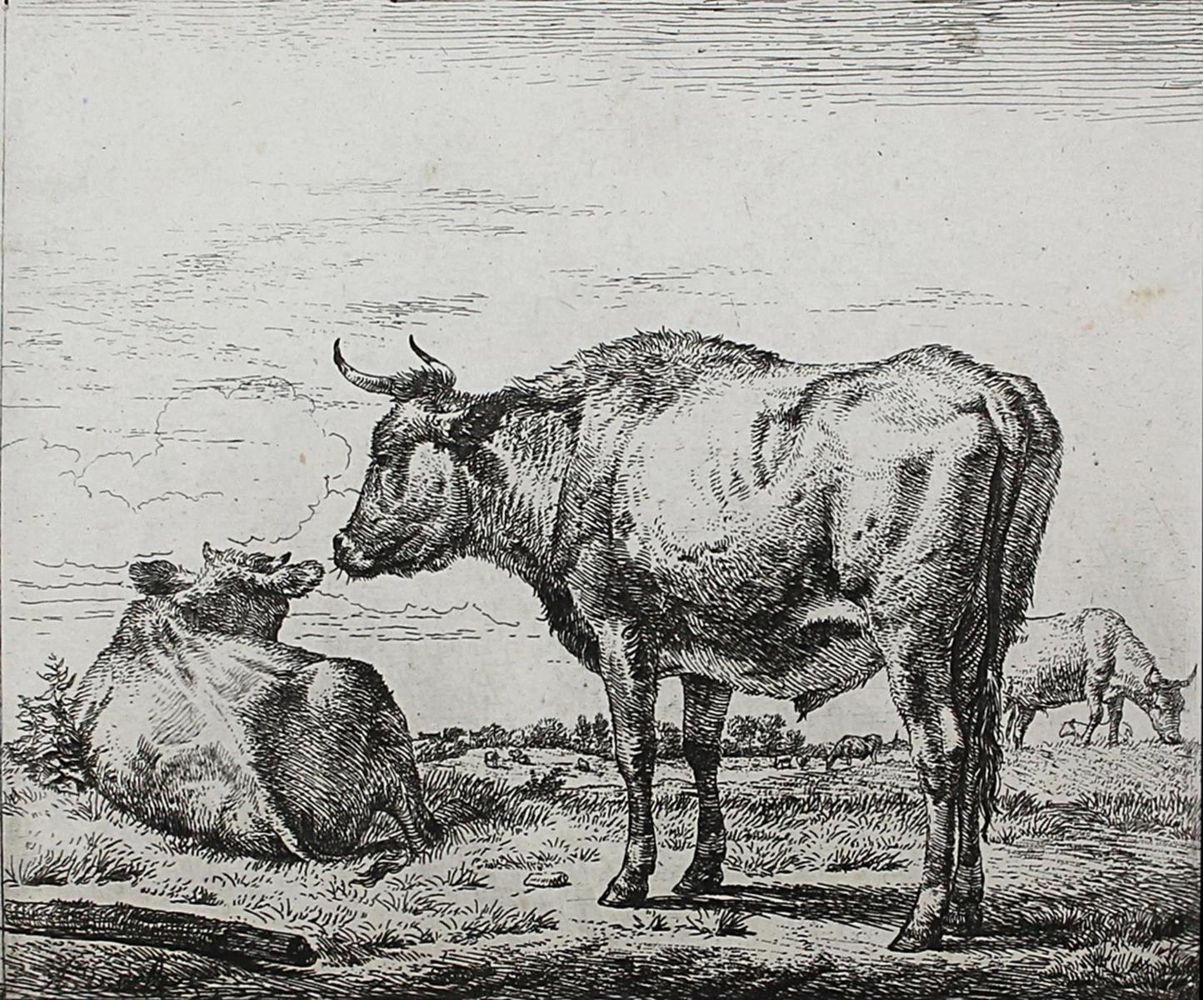 Große Abbildung Nr.1: 121-3388 Velde, Adriaen van de: (Künstlergraphik)