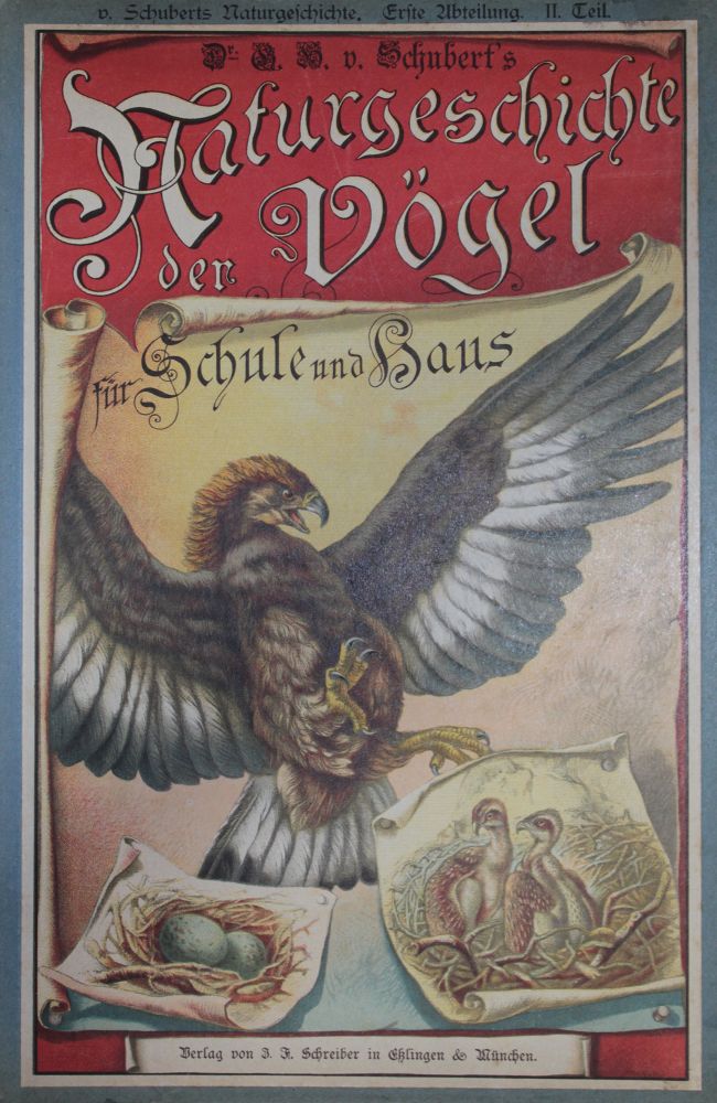 Große Abbildung Nr.1: 121-358 Konvolut: (Varia)