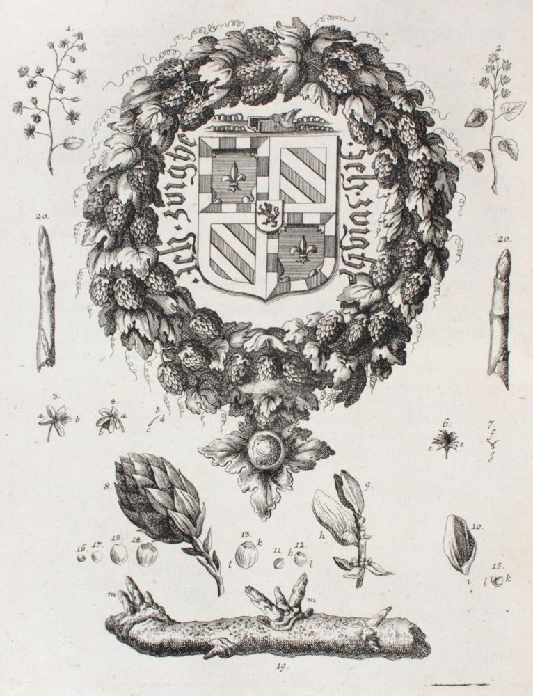 Große Abbildung Nr.2: 121-469 Leopoldt,J.G.: (Küche und Haushalt, Getränke, Bier)