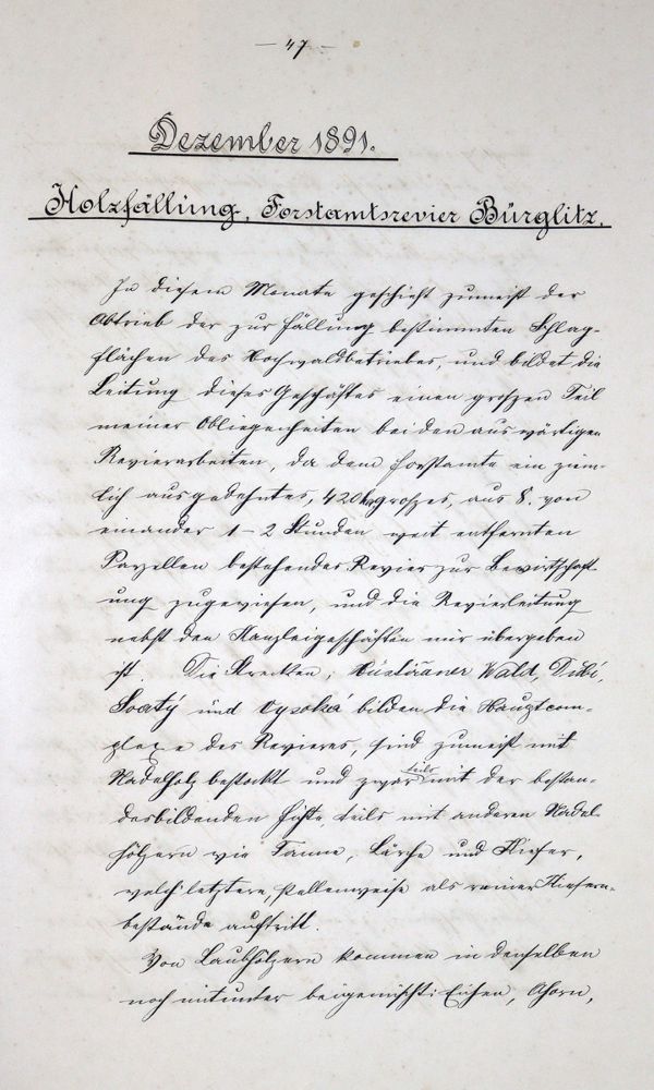 Große Abbildung Nr.2: 121-482 Heinrich,H.: (Land- und Forstwirtschaft, Forstwirtschaft, Handschriften)