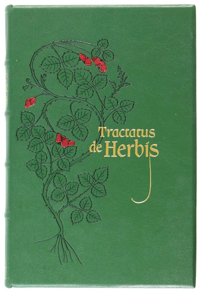 Große Abbildung Nr.1: 121-570 Tractatus de Herbis.: (Faksimile)