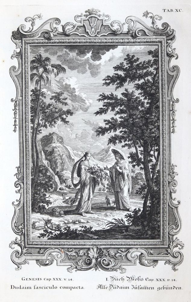 Große Abbildung Nr.1: 121-64 Sammlung: (Bibeln)