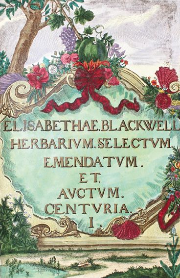 Große Abbildung Nr.2: 121-899 Blackwell,E.: (Botanik)