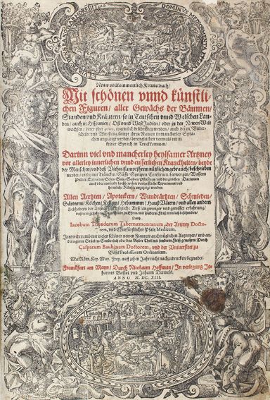 Große Abbildung Nr.1: 121-908 Tabernaemontanus,J.: (Botanik, Kräuterbücher)