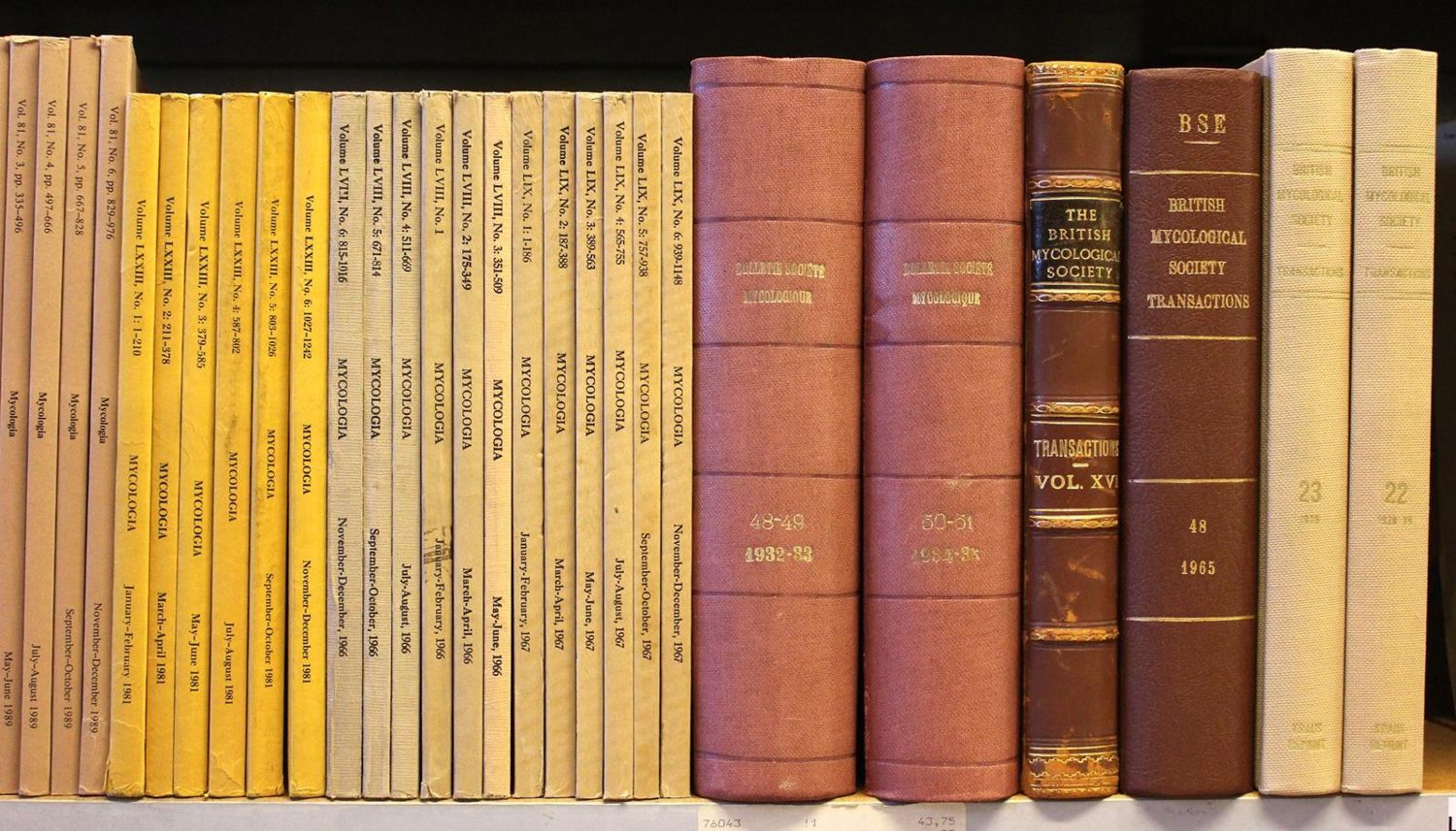 Große Abbildung Nr.2: 121-918 Sammlung: (Botanik, Pilze)