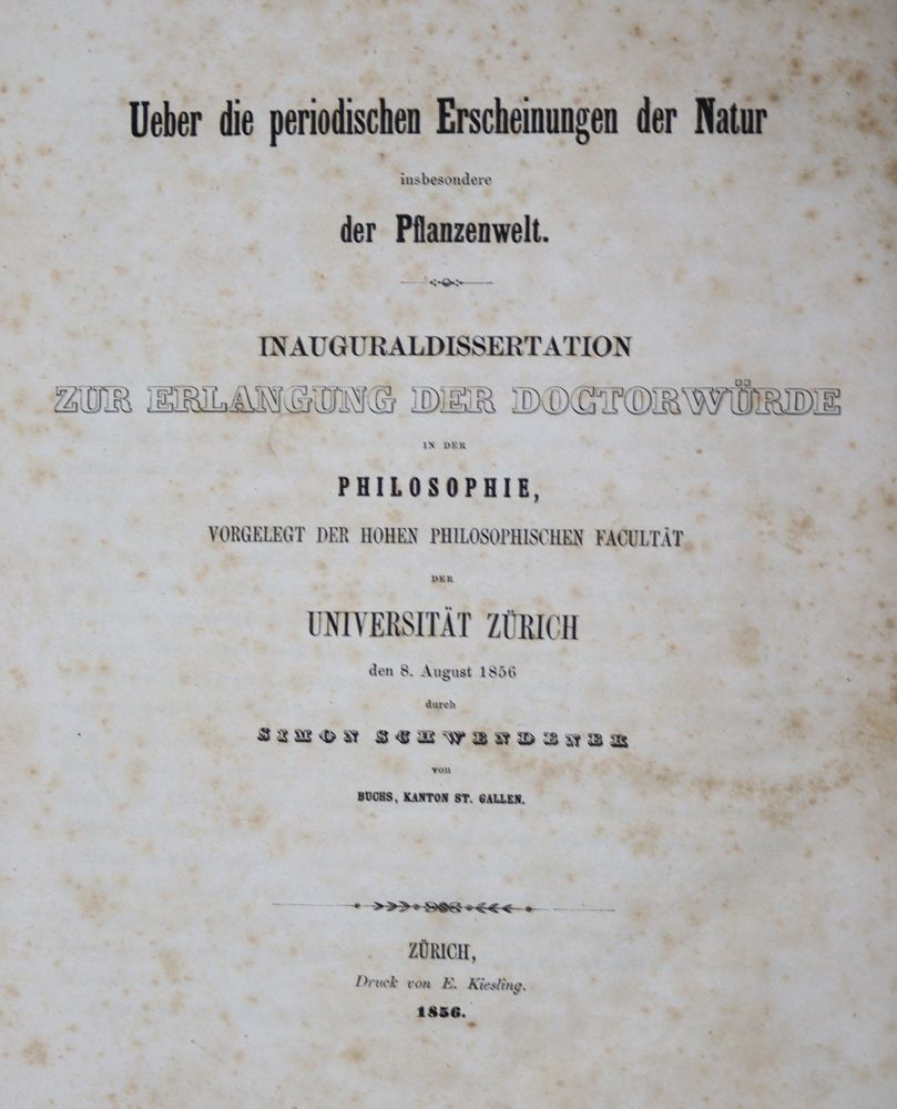 Große Abbildung Nr.1: 121-924 Schwendener,S.: (Botanik)