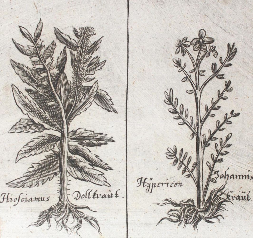 Große Abbildung Nr.2: 121-958 Schröder,J.: (Medizin)