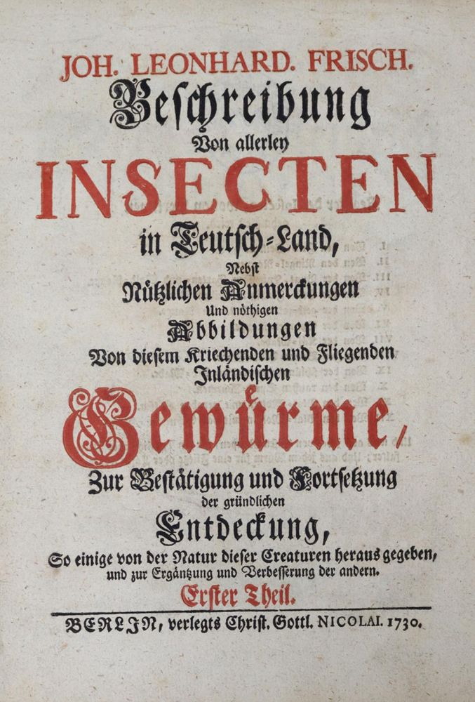 Große Abbildung Nr.1: 121-970 Frisch,J.L.: (Zoologie, Insekten)