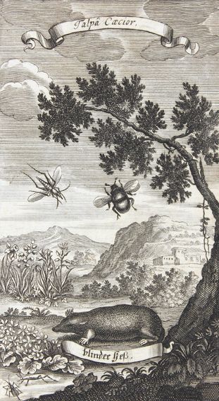 Große Abbildung Nr.1: 121-978 Acxtelmeier,S.R.: (Verschiedene Gebiete - Varia)
