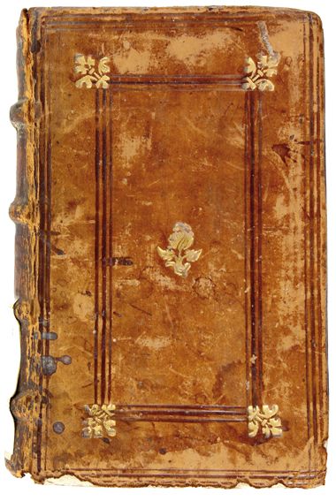 Große Abbildung Nr.1: 121-979 Albertus Magnus.: (Verschiedene Gebiete - Varia)