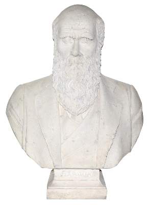 Bild Nr.1: 121-1003 Darwin, Charles.: (Verschiedene Gebiete - Varia)