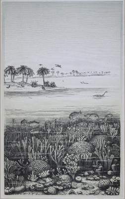 Bild Nr.11: 121-1028 Heer,O.: (Verschiedene Gebiete - Varia, Geologie - Mineralogie u. Paläontologie, Schweiz)