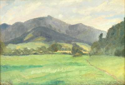 Bild Nr.2: 121-1192 Zipfelhof: (Deutschland)