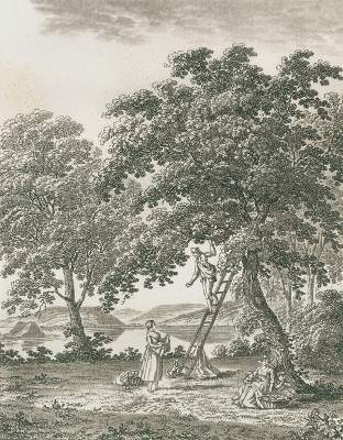 Bild Nr.1: 121-1287 (Wagner,S.v.).: (Schweiz)