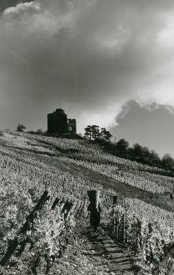 Bild Nr.1: 121-1879 Autenrieth, Ingrid: (Photographie)