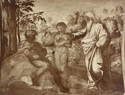 Bild Nr.2: 121-1881 Braun, Adolphe: (Photographie)