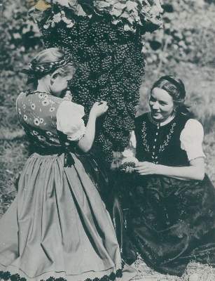 Bild Nr.1: 121-1914 Retzlaff, Hans: (Photographie)