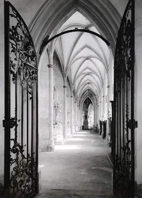 Bild Nr.1: 121-1919 Schneiders, Toni: (Photographie)