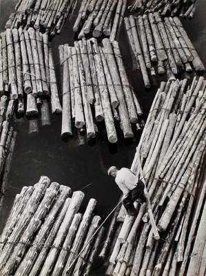 Bild Nr.1: 121-1921 Schneiders, Toni: (Photographie)