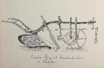 Bild Nr.2: 121-1938 Sammlung: (Varia, Botanik)
