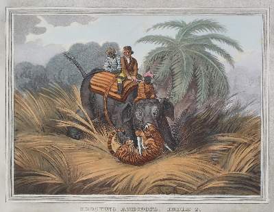 Bild Nr.3: 121-2036 Elefanten.: (Varia, Zoologie)