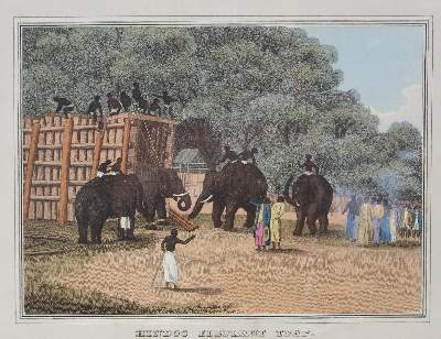 Bild Nr.4: 121-2036 Elefanten.: (Varia, Zoologie)