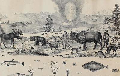 Bild Nr.1: 121-2038 Nördlich gemäßigte Zone.: (Varia, Zoologie)