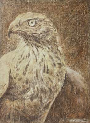 Bild Nr.1: 121-2042 Konvolut: (Varia, Zoologie, Vögel)
