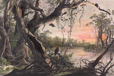 Bild Nr.1: 121-2141 Bodmer, Karl: (Ausland, Amerika)