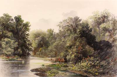 Bild Nr.1: 121-2145 Bodmer, Karl: (Ausland, Amerika)