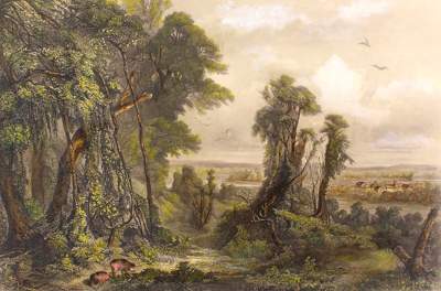 Bild Nr.1: 121-2147 Bodmer, Karl: (Ausland, Amerika)