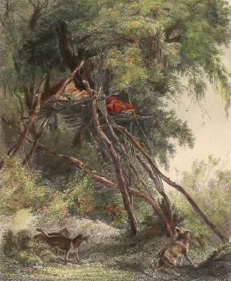 Bild Nr.1: 121-2158 Bodmer, Karl.: (Ausland, Amerika)