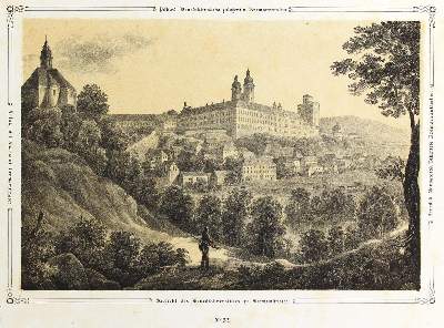 Bild Nr.1: 121-2273 Ziegler, Anton: (Ausland, Österreich)