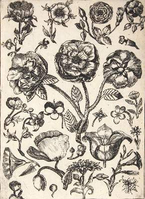 Bild Nr.2: 121-2406 Bruyn, Nicolaes de: (Künstlergraphik)