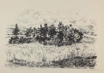 Bild Nr.2: 121-2680 Grundig, Lea: (Künstlergraphik)
