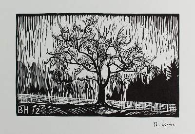 Bild Nr.2: 121-2716 Hesse, Bruno: (Künstlergraphik)
