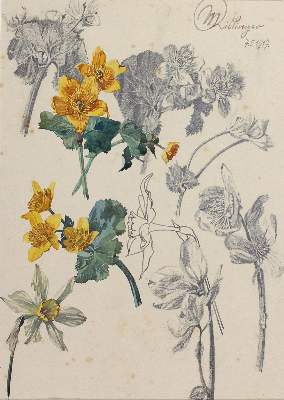 Bild Nr.1: 121-2807 Kislinger, Max: (Künstlergraphik)
