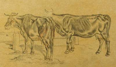 Bild Nr.1: 121-2822 Klein, Johann Adam: (Künstlergraphik)