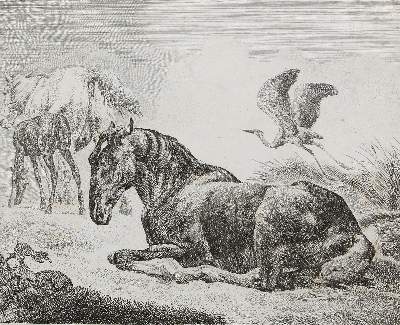 Bild Nr.1: 121-2981 Menken, Johann Heinrich: (Künstlergraphik)