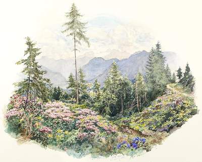 Bild Nr.2: 121-3106 Pilz, Johann Franz: (Künstlergraphik)