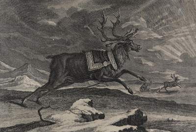 Bild Nr.1: 121-3169 Ridinger, Johann Elias: (Künstlergraphik)