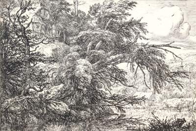 Bild Nr.0: 121-3191 Ruisdael, Jacob Isaakszoon van: (Künstlergraphik)